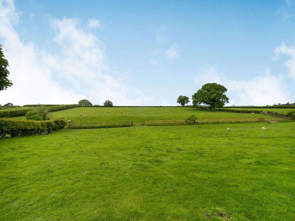 Brook Cottage Stearsby 外观 照片